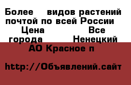 Более200 видов растений почтой по всей России › Цена ­ 100-500 - Все города  »    . Ненецкий АО,Красное п.